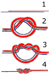 surgeon's knot